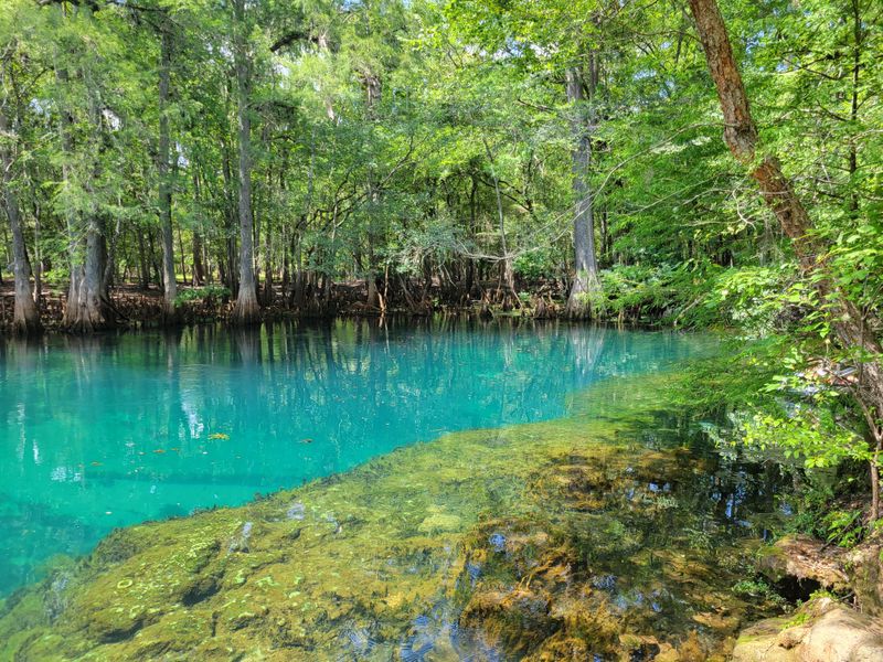 Manatee Springs (Chiefland)