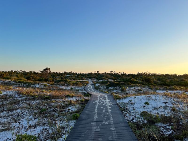 Fort Pickens Campground (Pensacola Beach)