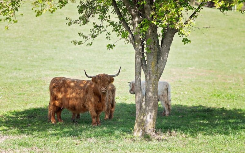 The Best Time to Visit