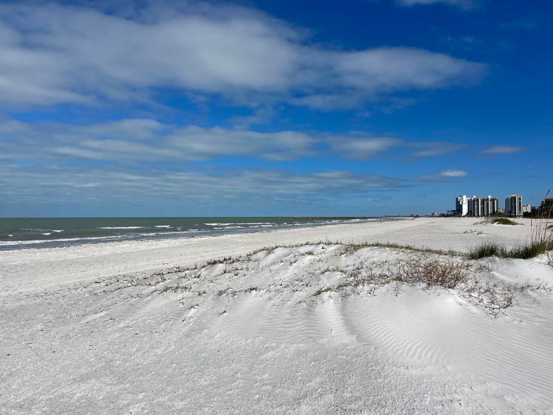 Sand Key Park (South End)