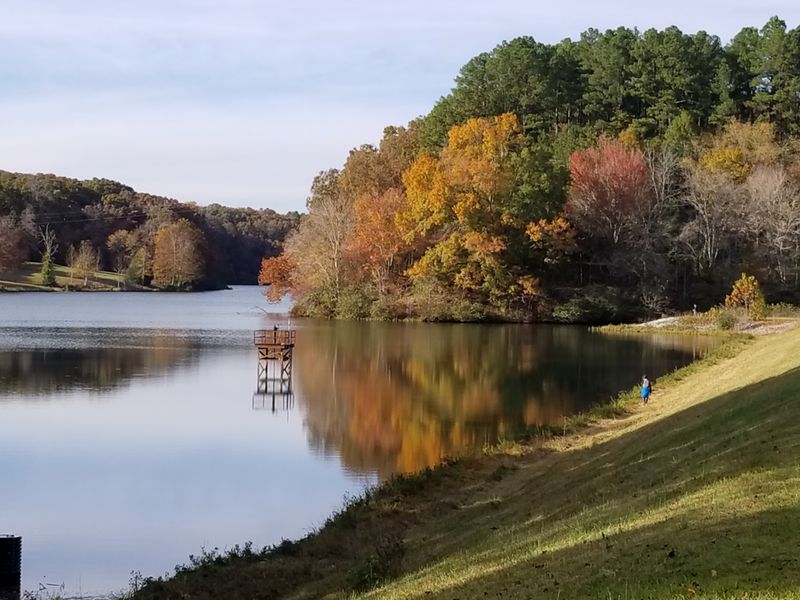 David Crockett State Park (Lawrenceburg)