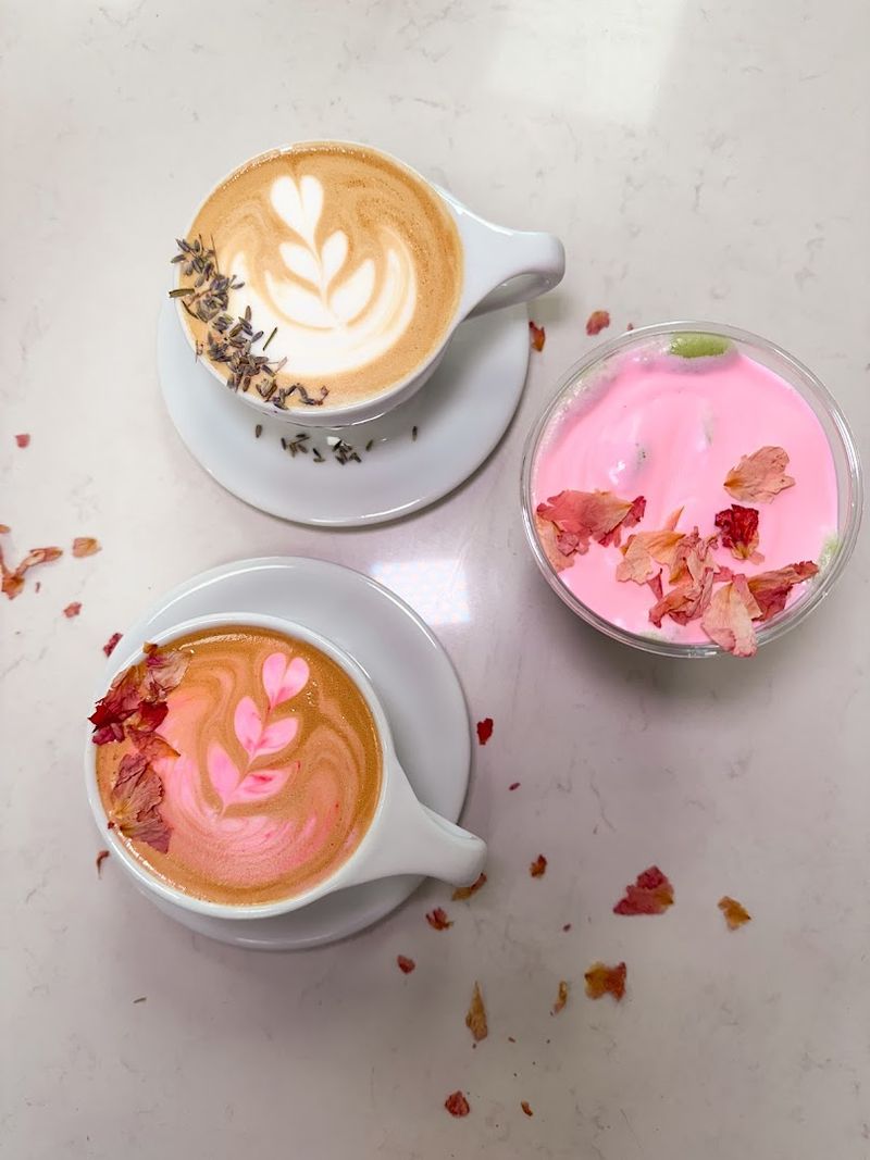 Seek First… Coffee Shop (Pine Castle)