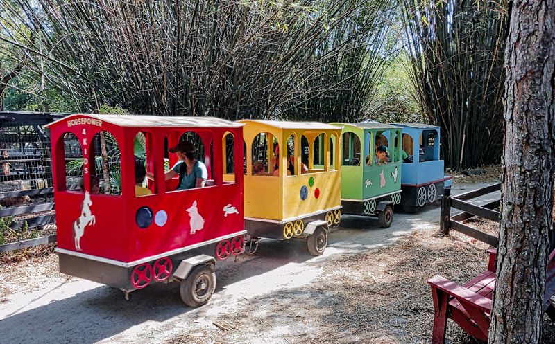 Scenic Mini Train Tour Around The Farm
