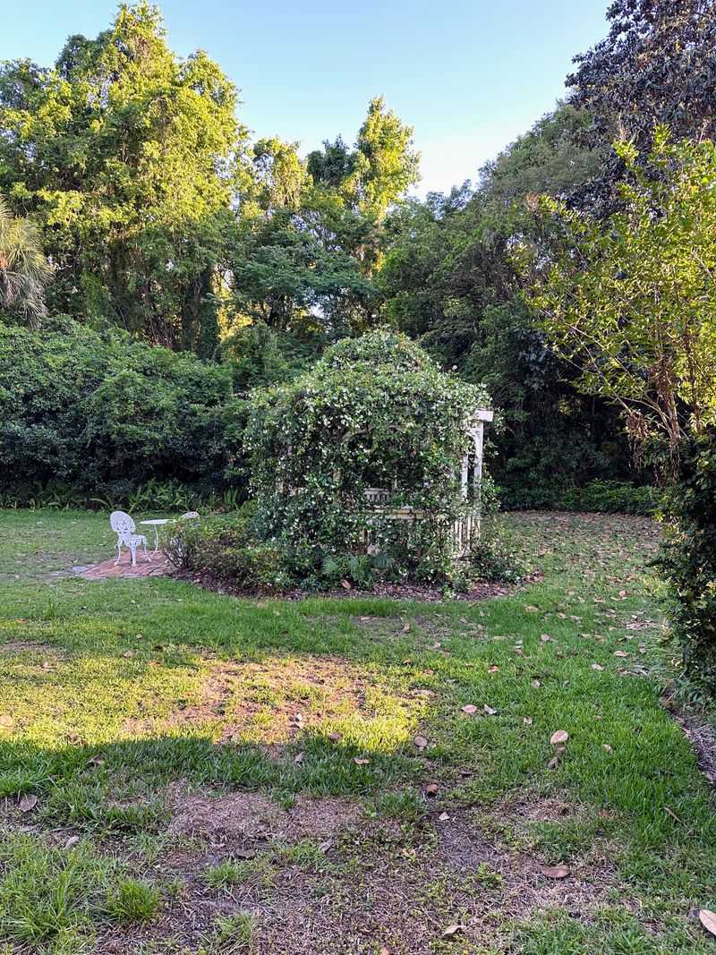 Get Outside: The Wild Side of Micanopy Nearby