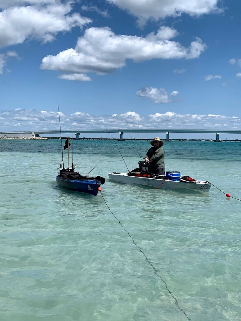 Wildlife And Water Color