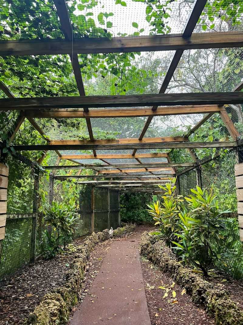 History, Hurricane Andrew, and Expectations