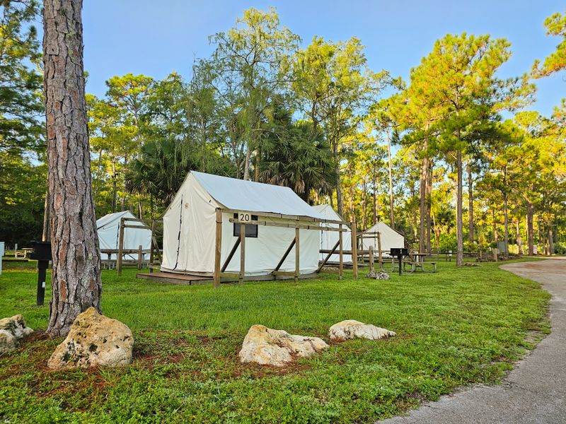 Why the Safari KOA Became a Must-Visit West Palm Beach Experience