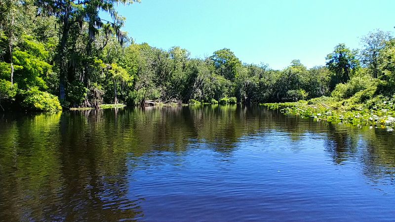 Wekiva River