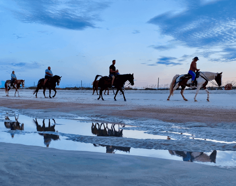 Horseback Riding on the Beach in Amelia Island