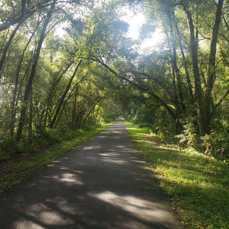 Withlacoochee State Trail (Central Florida)