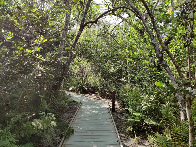 Explore the Secret Woods Nature Center