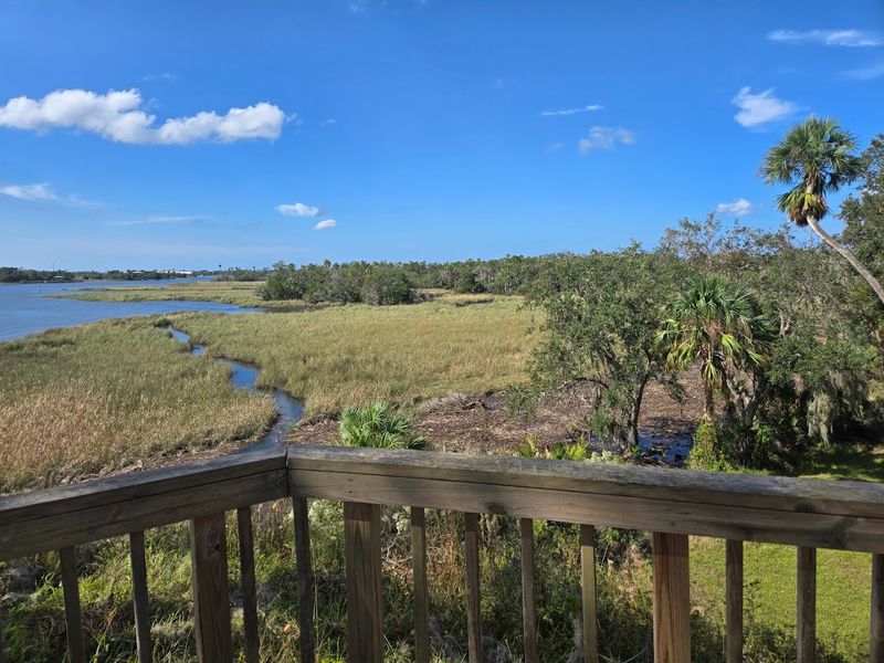 Wildlife And River Overlook