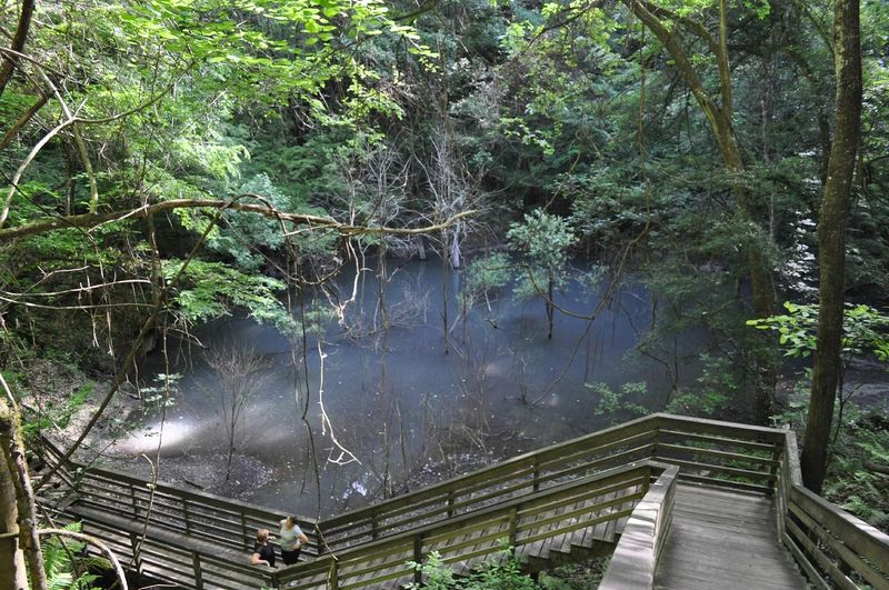Devil's Millhopper Geological State Park