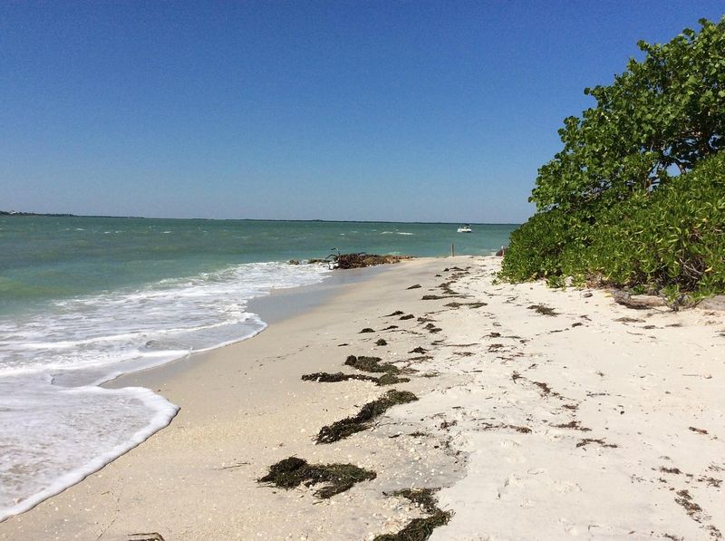 Captiva Island (Gulf Coast)