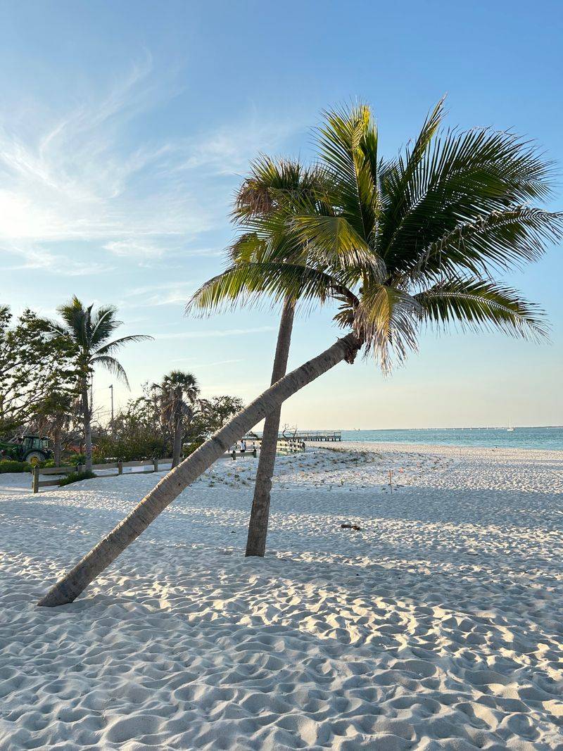 Where to Go and What to Expect