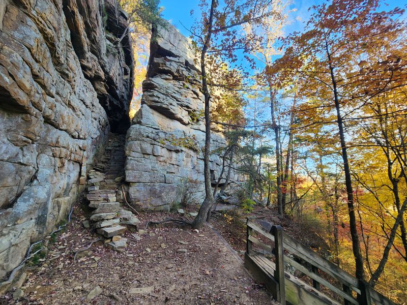 Savage Gulf - Stone Door Trail (South Cumberland State Park)