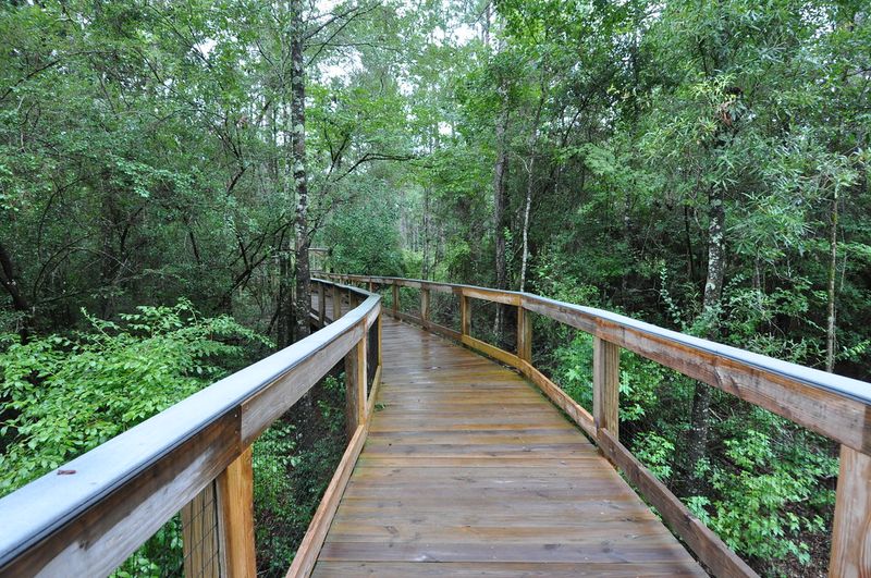Falling Waters State Park