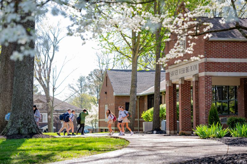 What to Do in an Afternoon: Easy Itinerary for First-Timers