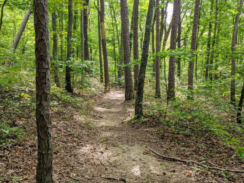 The Best Hikes in Savage Gulf (From Easy to Challenging)