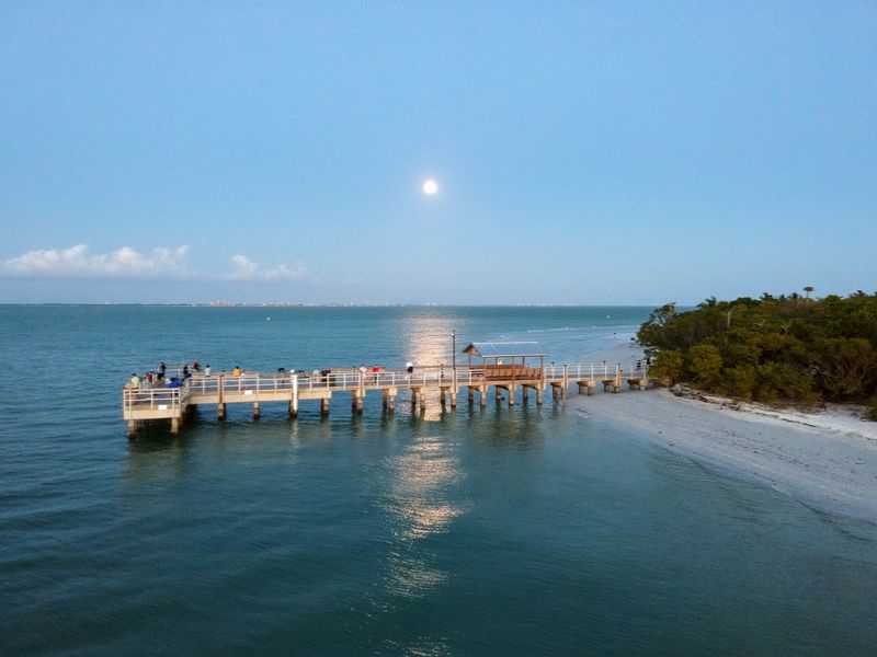Shelling and Wildlife Watching on Sanibel Island