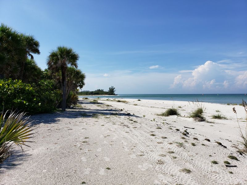 Barefoot Beach Preserve