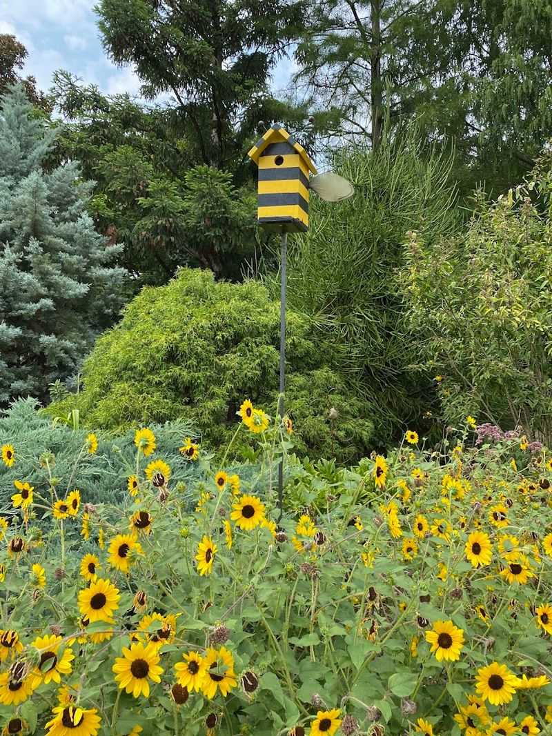 UT Gardens Knoxville &mdash; Knoxville