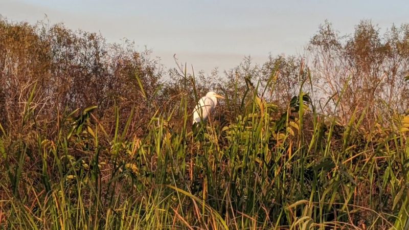 Everglades National Park