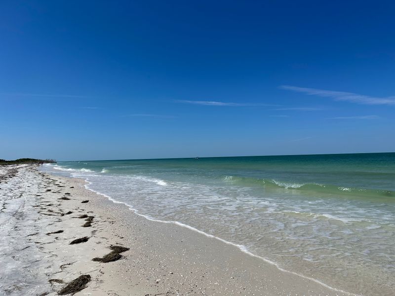 Honeymoon Island State Park