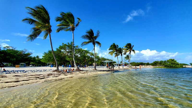 Why Tavernier Is the Kind of Place People Keep Coming Back To