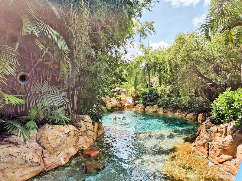 Planning Tips and Need to Know