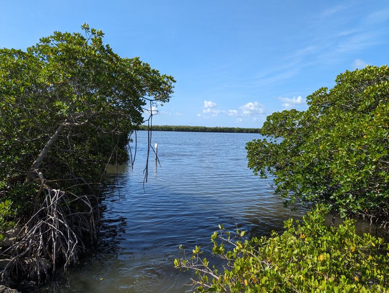 Pelican Island National Wildlife Refuge Kayaking
