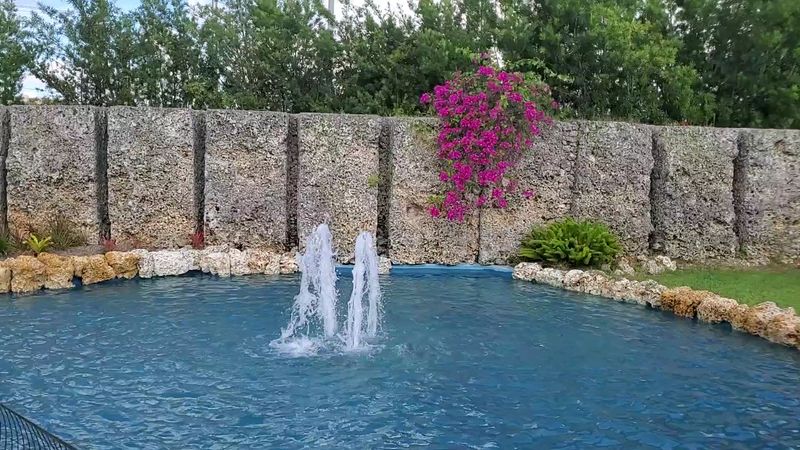 The heartbreak legend (“Sweet Sixteen”)