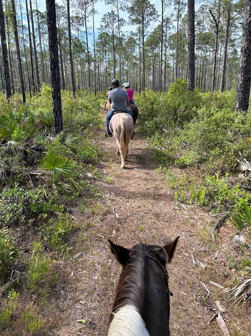 Goethe State Forest (Nature Coast)