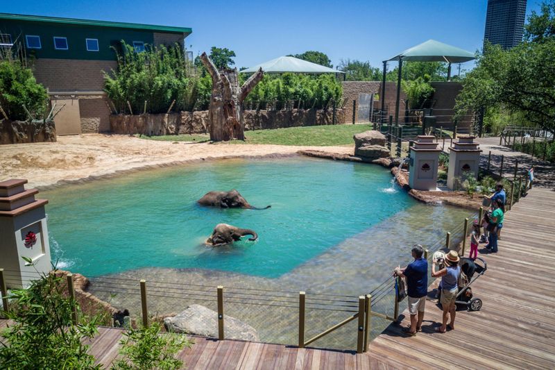 Houston Zoo - Tropical Adventures