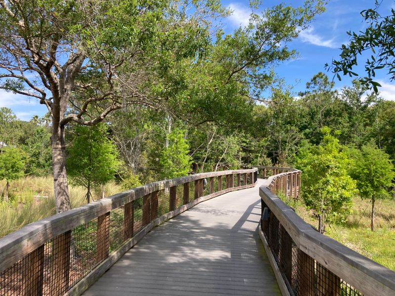 Boardwalks, Ponds, and Wildlife