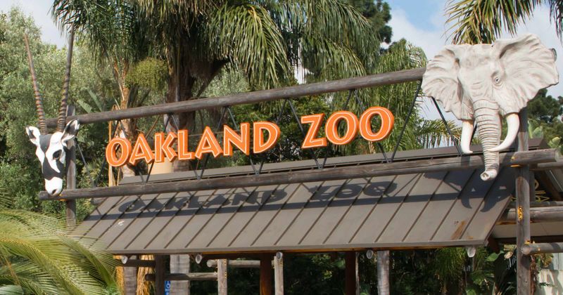 Oakland Zoo - California Conservation