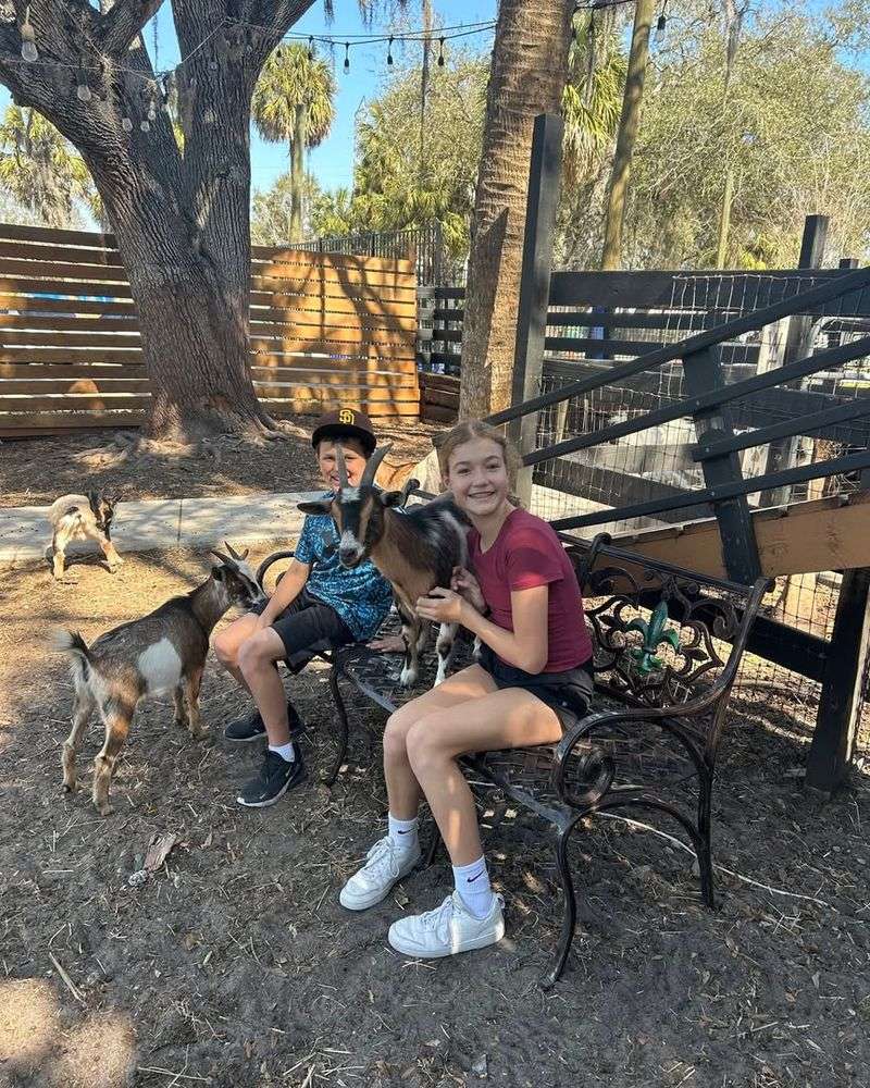 Plan Your Visit: Hours, Pricing, Tips