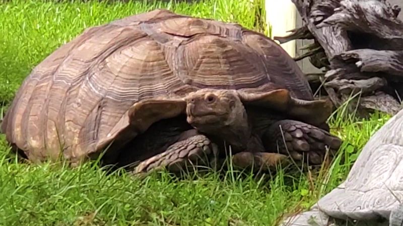 Back to Nature Wildlife Refuge