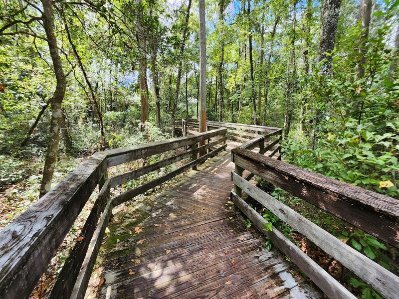 Quick Guide: Essentials, Rules, And Respect