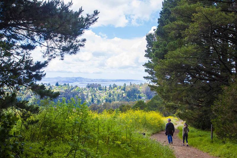 Hike in Tilden Regional Park