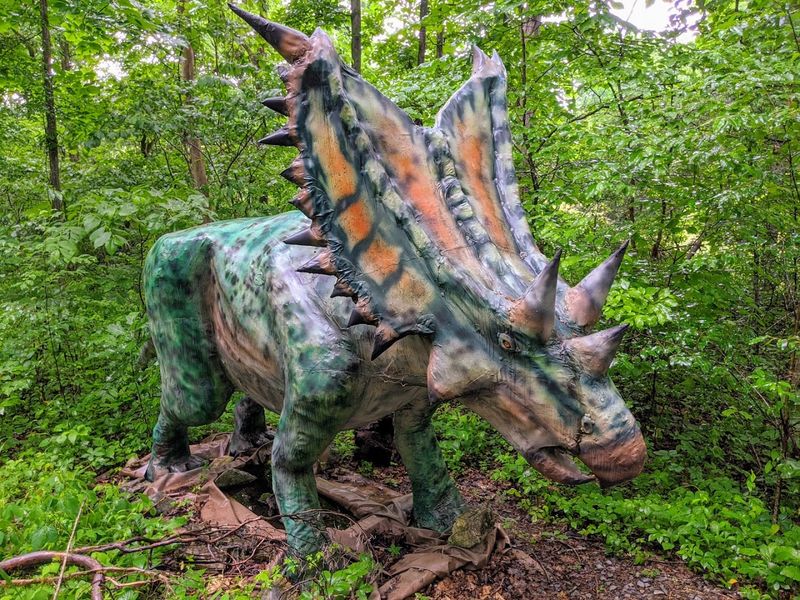 A Park Built From Passion