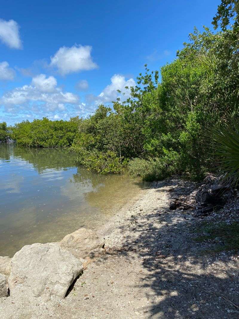 Lagoon-side Kayak Launch