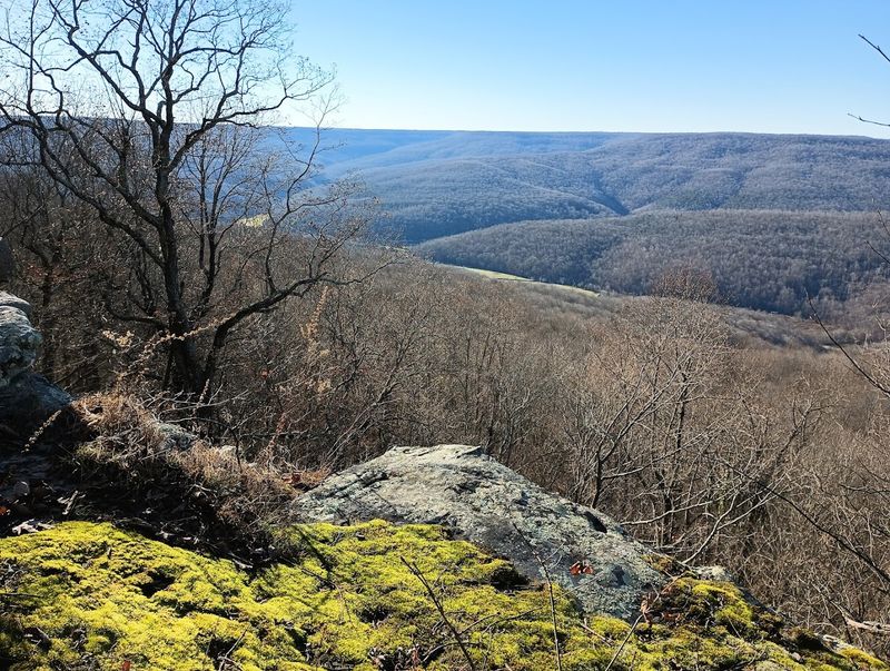 Head of the Crow State Park (2025)