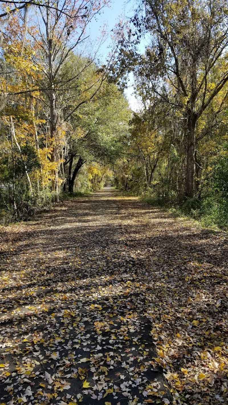 Best Seasons, Timing, And Weather