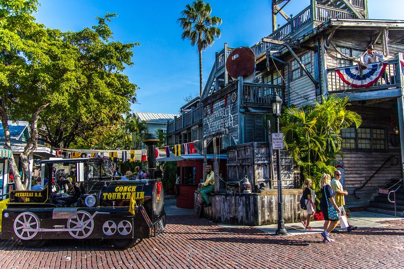 Lookout Tower and 360 Views