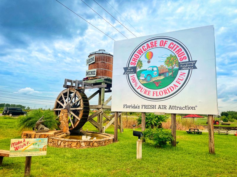 Go full Florida farm fun at Showcase of Citrus