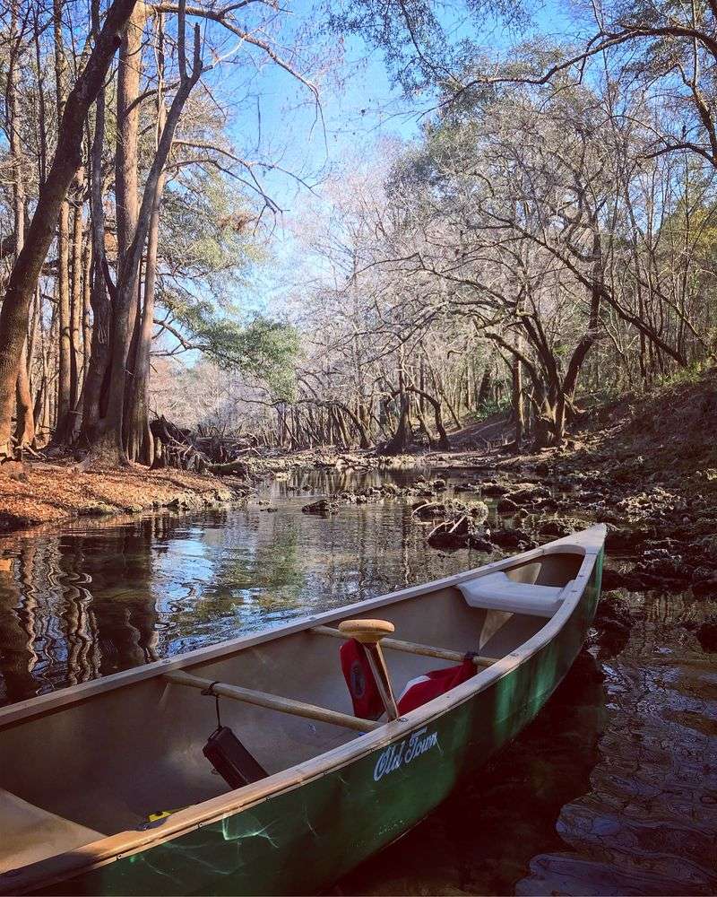 Paddling the Wild Rivers of the Florida Panhandle