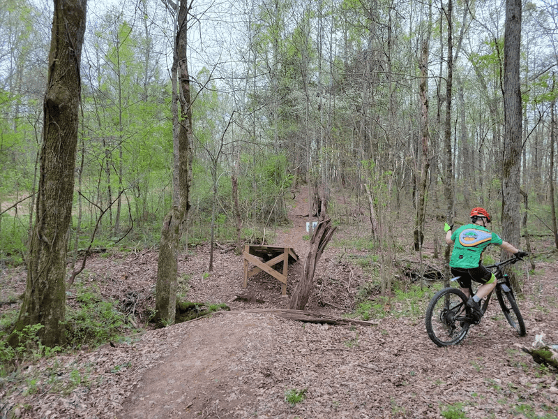 Mountain Biking Trails That Bring the Thrill