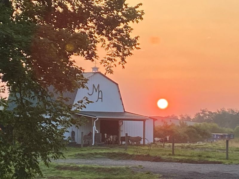 Why Animal Lovers Will Adore This Stay