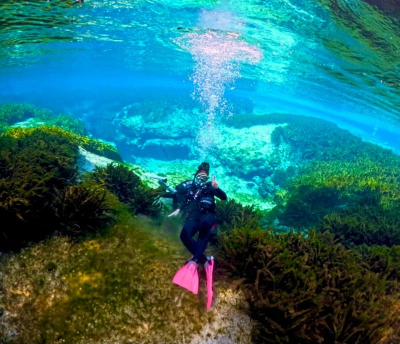 Ocala National Forest Springs (Alexander Springs Recreation Area)